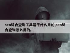 seo综合查询工具是干什么用的,seo综合查询怎么用的。
