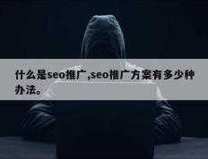 什么是seo推广,seo推广方案有多少种办法。