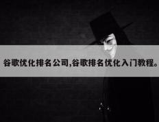 谷歌优化排名公司,谷歌排名优化入门教程。