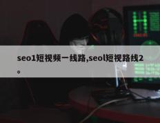 seo1短视频一线路,seol短视路线2。