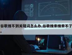 谷歌搜不到关键词怎么办,谷歌搜索搜索不了。