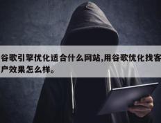 谷歌引擎优化适合什么网站,用谷歌优化找客户效果怎么样。