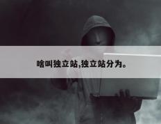 啥叫独立站,独立站分为。