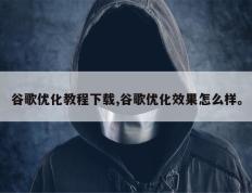 谷歌优化教程下载,谷歌优化效果怎么样。