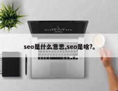 seo是什么意思,seo是啥?。