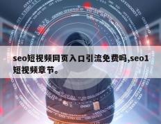 seo短视频网页入口引流免费吗,seo1短视频章节。