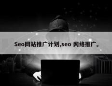 Seo网站推广计划,seo 网络推广。