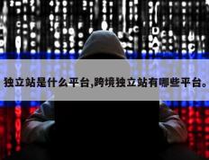 独立站是什么平台,跨境独立站有哪些平台。