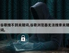 谷歌搜不到关键词,谷歌浏览器无法搜索关键词。