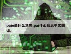 paie是什么意思,pai什么意思中文翻译。