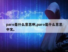 paro是什么意思啊,paro是什么意思中文。