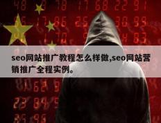 seo网站推广教程怎么样做,seo网站营销推广全程实例。