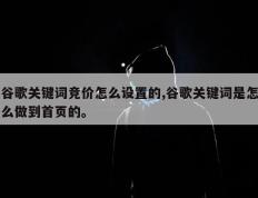谷歌关键词竞价怎么设置的,谷歌关键词是怎么做到首页的。