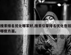 搜索排名优化哪家好,搜索引擎排名优化包括哪些方面。