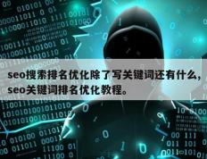 seo搜索排名优化除了写关键词还有什么,seo关键词排名优化教程。