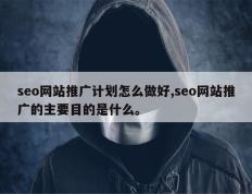 seo网站推广计划怎么做好,seo网站推广的主要目的是什么。
