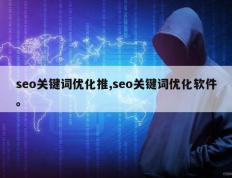 seo关键词优化推,seo关键词优化软件。