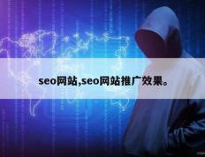 seo网站,seo网站推广效果。