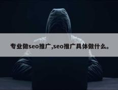 专业做seo推广,seo推广具体做什么。