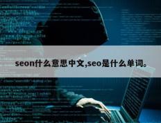 seon什么意思中文,seo是什么单词。