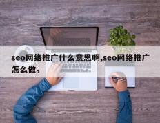 seo网络推广什么意思啊,seo网络推广怎么做。