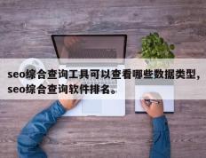 seo综合查询工具可以查看哪些数据类型,seo综合查询软件排名。