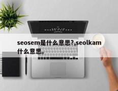 seosem是什么意思?,seolkam什么意思。