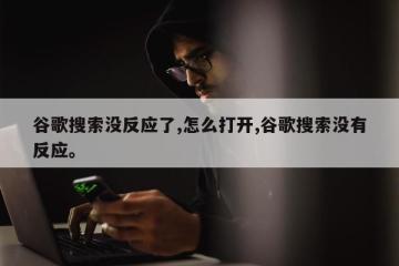 谷歌搜索没反应了,怎么打开,谷歌搜索没有反应。