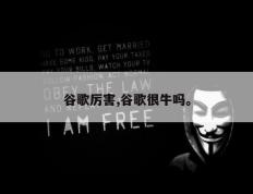 谷歌厉害,谷歌很牛吗。