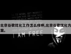 北京谷歌优化工作怎么样啊,北京谷歌优化方案。