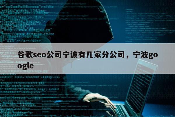 谷歌seo公司宁波有几家分公司，宁波google